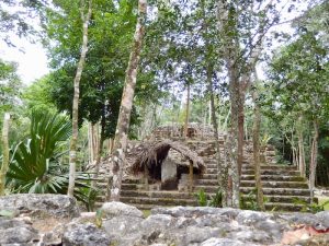 Coba